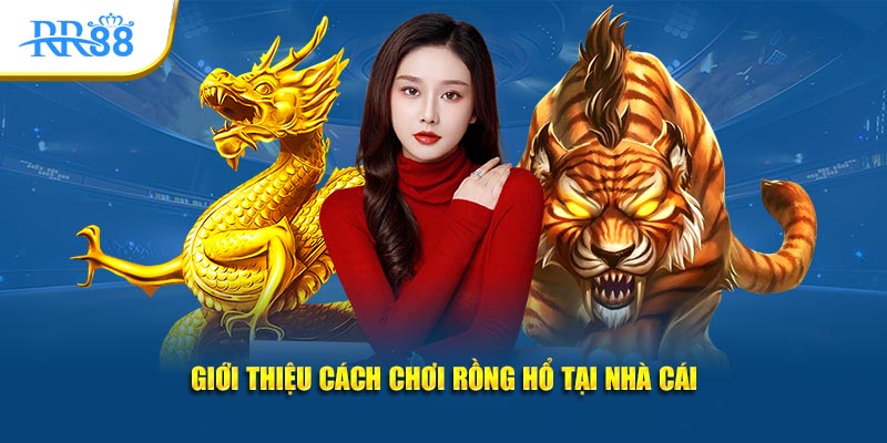 Giới thiệu cách chơi Rồng Hổ tại nhà cái